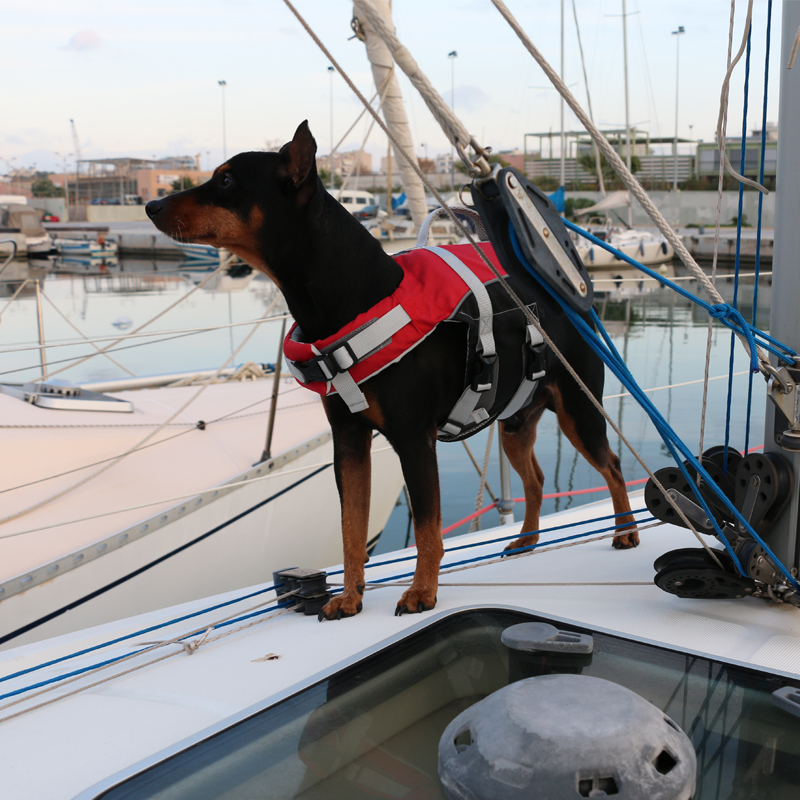 LALIZAS Comfy Pet Buoyancy Aid - Image 2